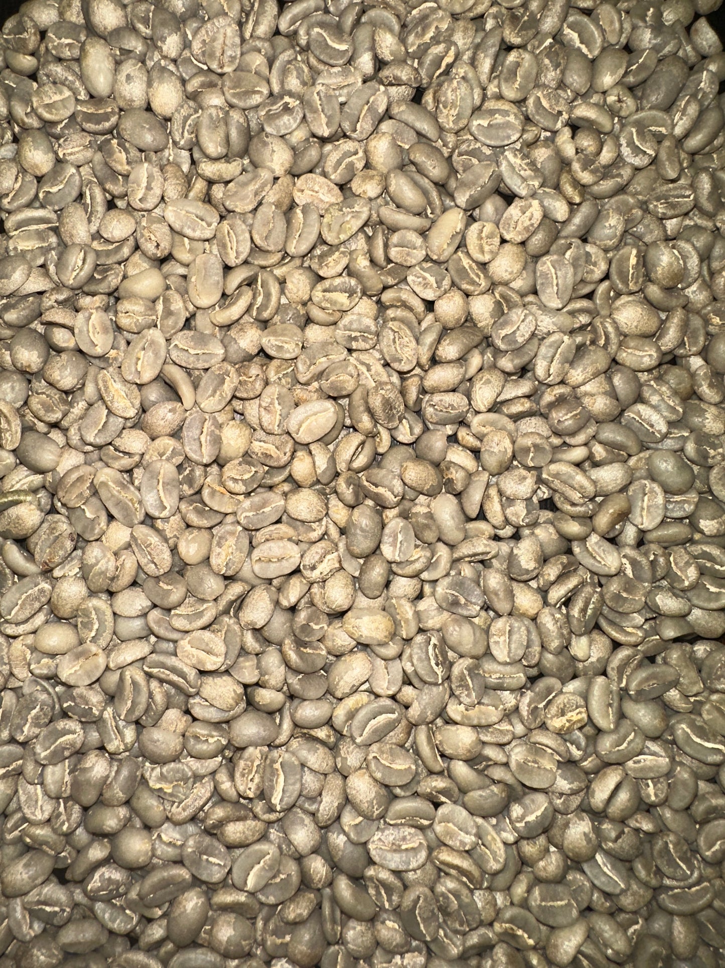 A close-up, top-down view of numerous raw, unroasted coffee beans filling the entire frame.