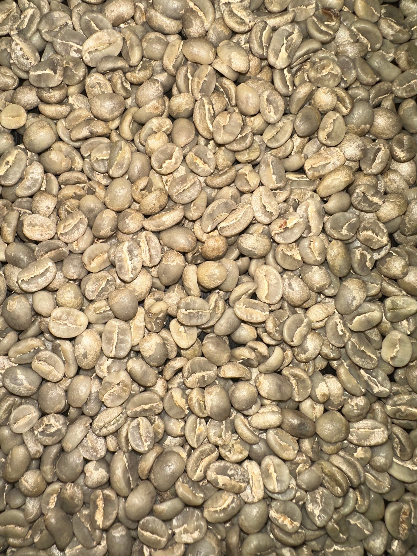 A close-up, top-down view of many unroasted coffee beans filling the frame, showing their characteristic curved shape and pale tan to gray-green color.