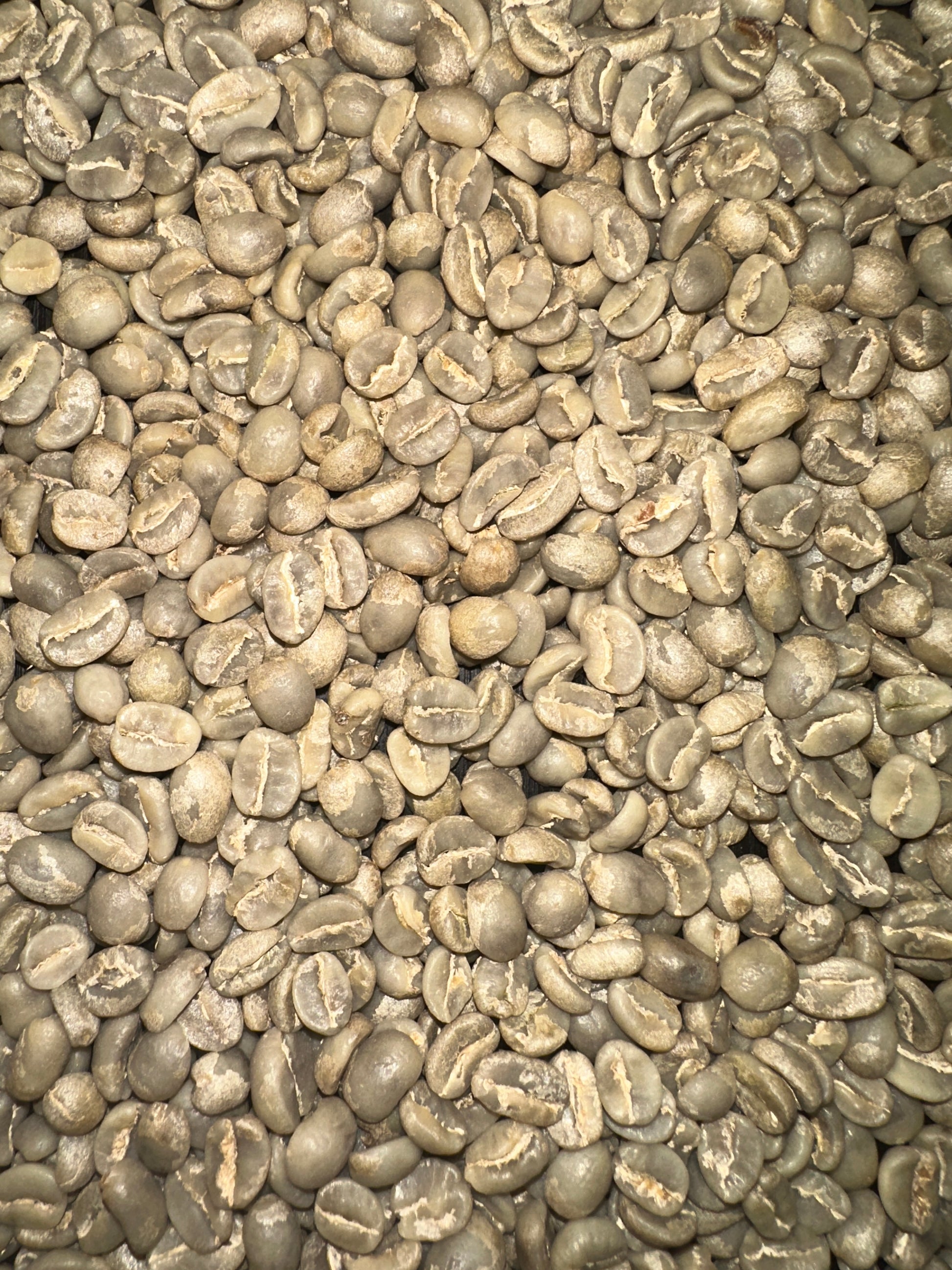 A close-up, top-down view of many unroasted coffee beans filling the frame, showing their characteristic curved shape and pale tan to gray-green color.