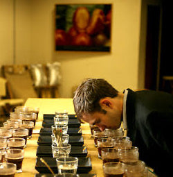A table has 9 sets of 6 cups of coffee for tasting. Peter bends to smell one of the cups.